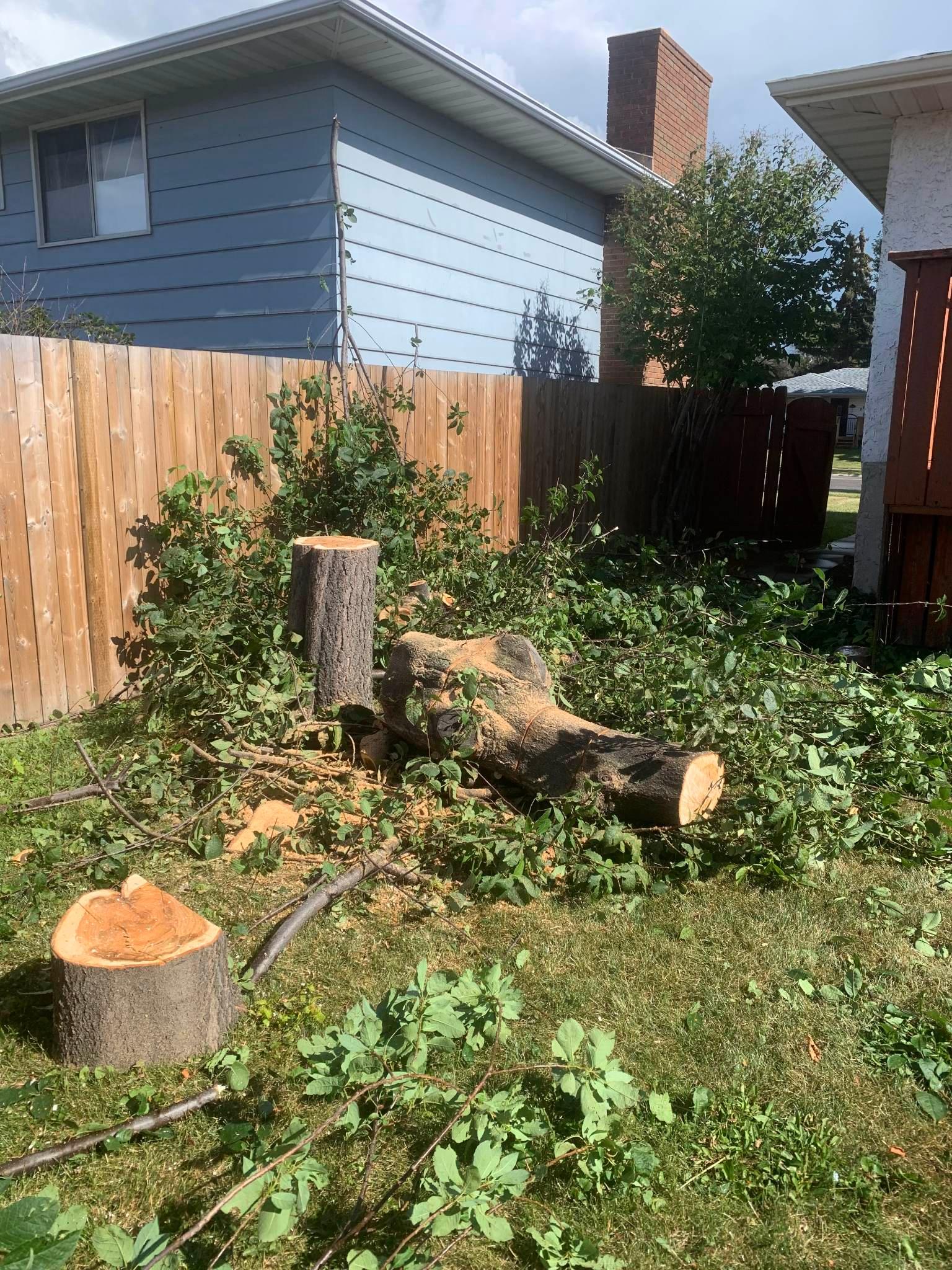 received_166790472912662